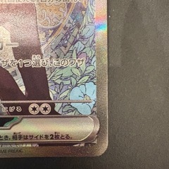 Nのゾロアークex ポケモンカード
の画像