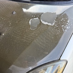 スイフト　zc31s カーボンボンネットの画像