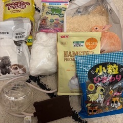 ハムスター飼育セットの画像