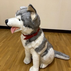  置物 ぬいぐるみ 犬 ハスキー犬の画像