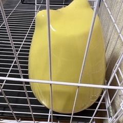 チンチラ用　陶器の黄色いおうち
の画像