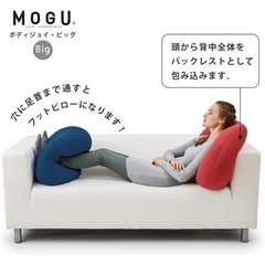 MOGUボディジョイ　ビッグクッションの画像
