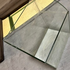 テラリウム アクアリウム 水槽の画像