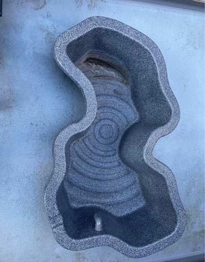 池　　、魚