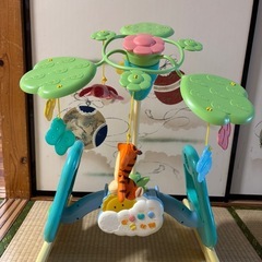 プーメリー　　の画像