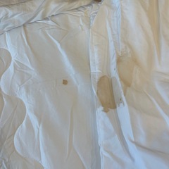 こたつヌード布団の画像