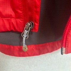 パタゴニア　レディースの画像