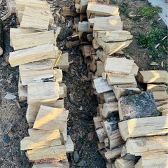 広葉樹針葉樹ミックス　コロ薪の画像