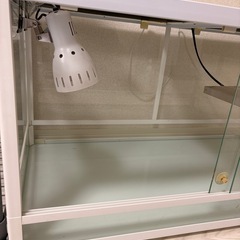 【引き取り限定】パンテオン9045ホワイトの画像