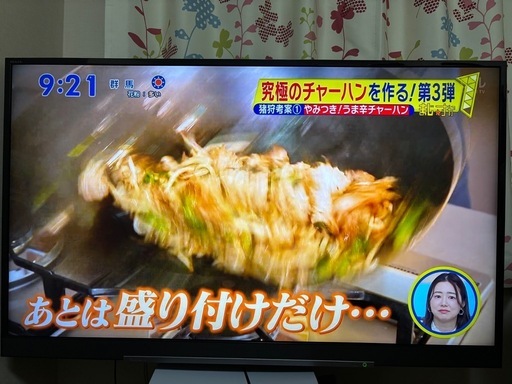 REGZA 49インチ 4K液晶テレビ 49BZ710X【PS5に最適/重低音】