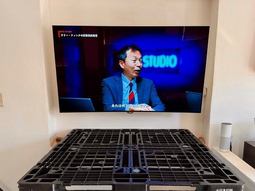 LG 55EG9100 湾曲 有機EL 55インチテレビ