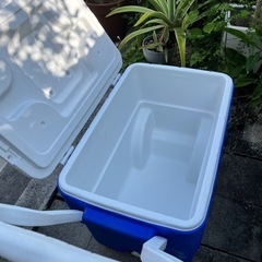 Coleman クーラーボックスの画像