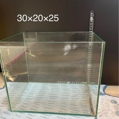 水槽セット　ベタ、メダカ、金魚　熱帯魚
の画像