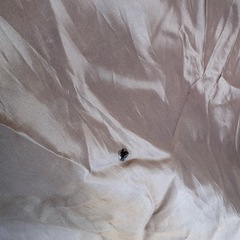 ワンタッチテントの画像