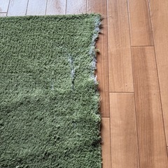グリーンのラグ
の画像