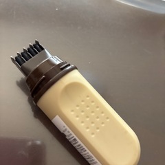 ステック白髪の画像