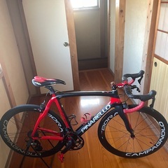 ロードバイク　
ピナレロ とカレラのセット