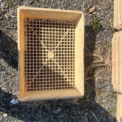 プラスチック製の物流コンテナ（の画像