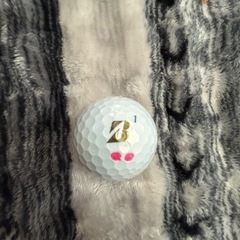 ロストボールの画像