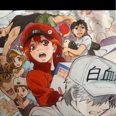 はたらく細胞　クッション
の画像