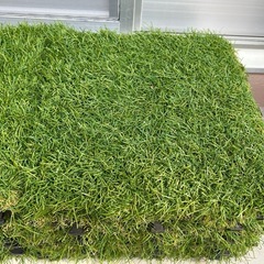 極上人工芝　使用期間短めの画像