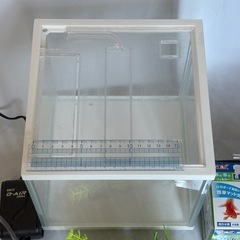 水槽　GEXの画像