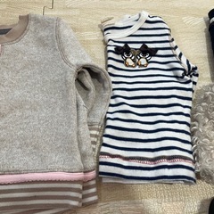 80cm 95cm たぶん14-5cmの画像