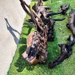 アクアリウム用流木大量の画像