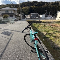 2024年製ビアンキＣスポーツクロスバイク美品♪大阪の画像