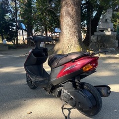 アドレスv125gの画像