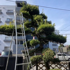 🌿【経験者・未経験者募集】女性・学生OK｜代表26歳の若い植木屋｜夏木造園の画像