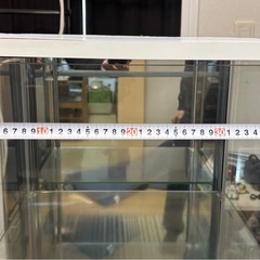 フィギアガラス
ケースの画像