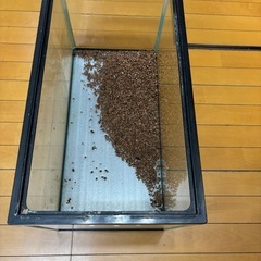 GEX 60cm規格水槽　中古品の画像