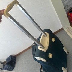 手荷物の画像