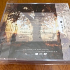 未開封　[国内盤CD] 東方神起/TREE [CD+DVD] [2枚組]の画像