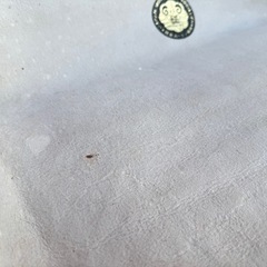 B8030【日本ムートン】ニチロムートン ラグ 羊毛の画像