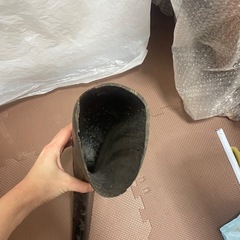 牛の角　の画像