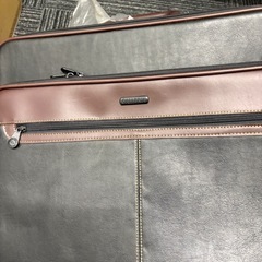 ビジネス　ガーメント　トラベルバック　2個セットの画像