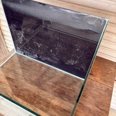 水槽　アクアリウム　60センチ
の画像