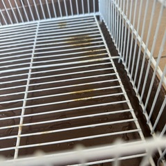 ゲージ 小動物 鳥かごの画像