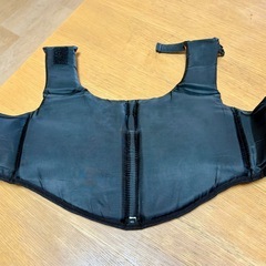 LOGOS  ペット用フローティングベスト　XSの画像