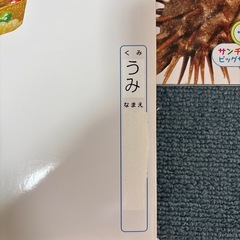 保育園　写真絵本12冊セット　の画像