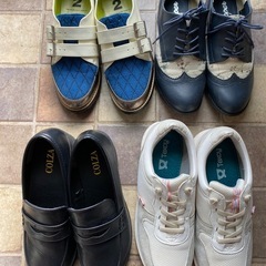 靴　まとめての画像