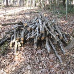 薪にいかがですか。の画像