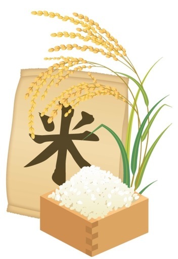 令和7年度阿蘇産きぬむすめ玄米30kg