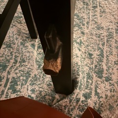 ダイニングセット譲りますの画像