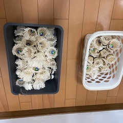 シャトルとバットスタンドの画像