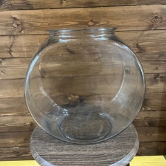 ガラス鉢の画像