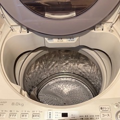 SHARP  洗濯機の画像