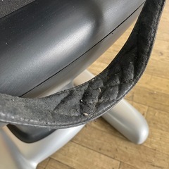 ロデオボーイⅡの画像